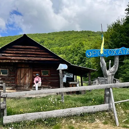 будинок заворіття 3 *