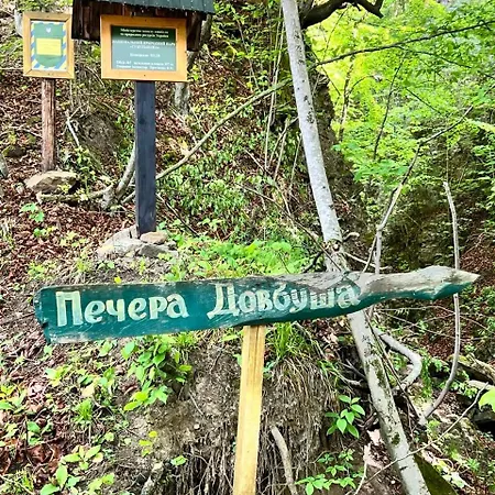 будинок заворіття 3 *